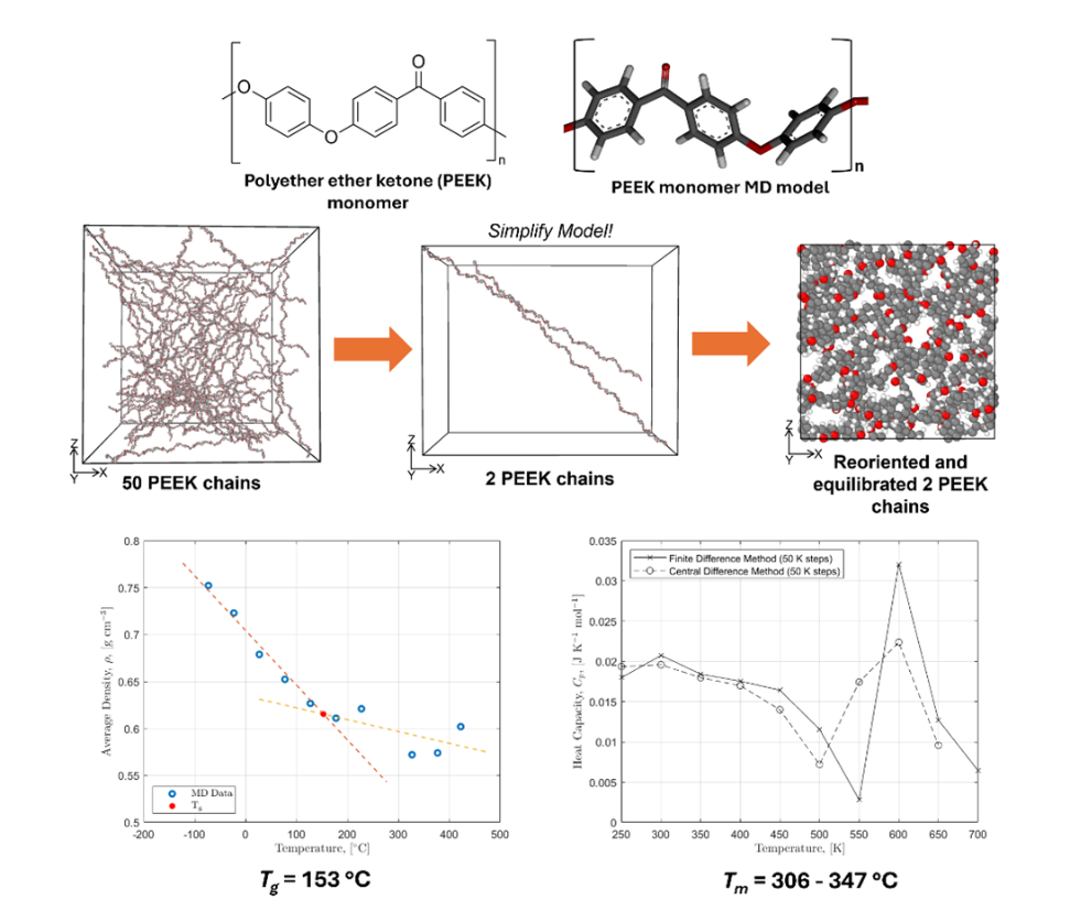 Molecular Modelling set-up of PEEK chains, with 20 monomers and the resultant Tg and Tm from the simulation.